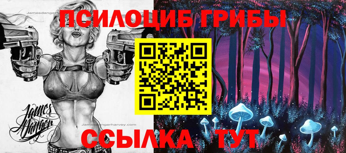Галлюциногенные грибы мицелий  Псилоцибиновые грибы мицелий  Вход с VPN  сколько стоит  Минусинск 